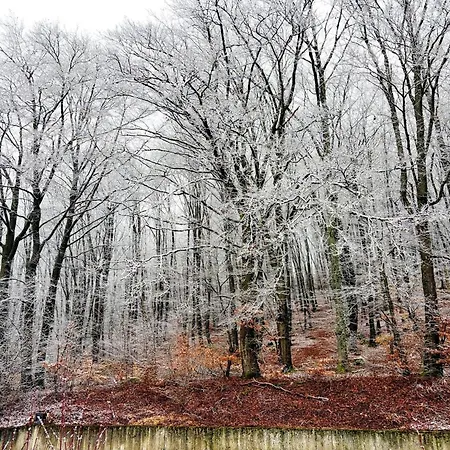 Modern In Hambachtal *