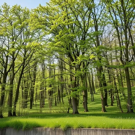 Modern In Hambachtal *