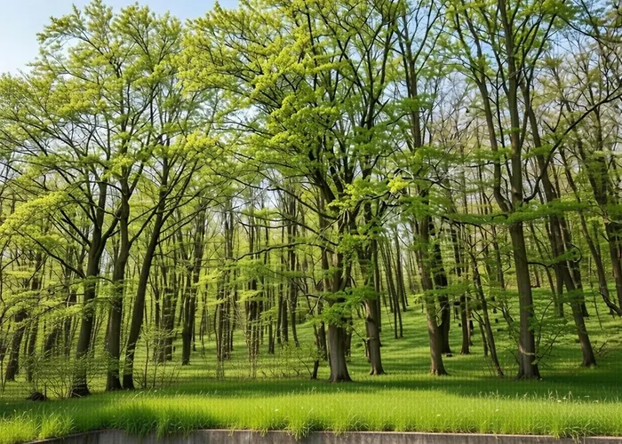 Modern In Hambachtal Oberhambach