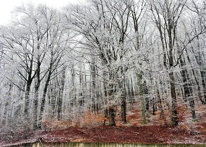 Modern In Hambachtal *